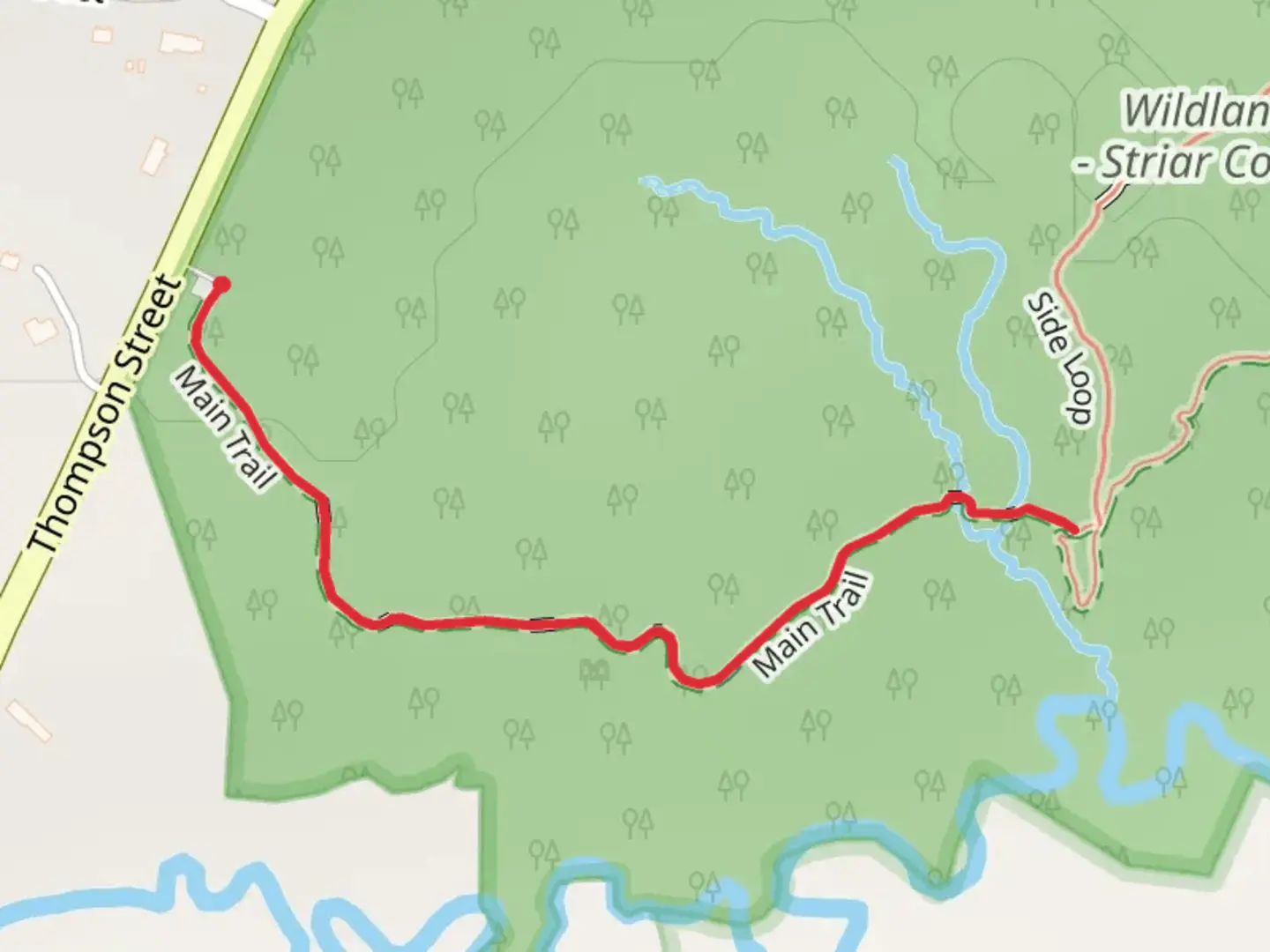 An image depicting the trail Main Trail from Thompson Street and its surrounding area.