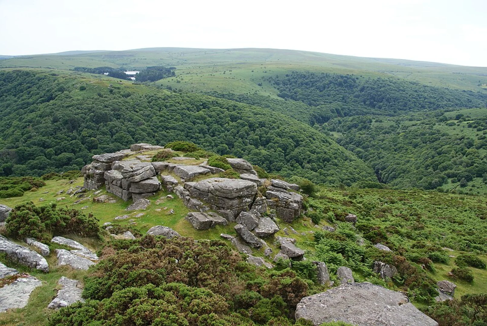 An image depicting the trail Great Wood, Bel Tor, Mel Tor and Aish Tor Loop and its surrounding area.
