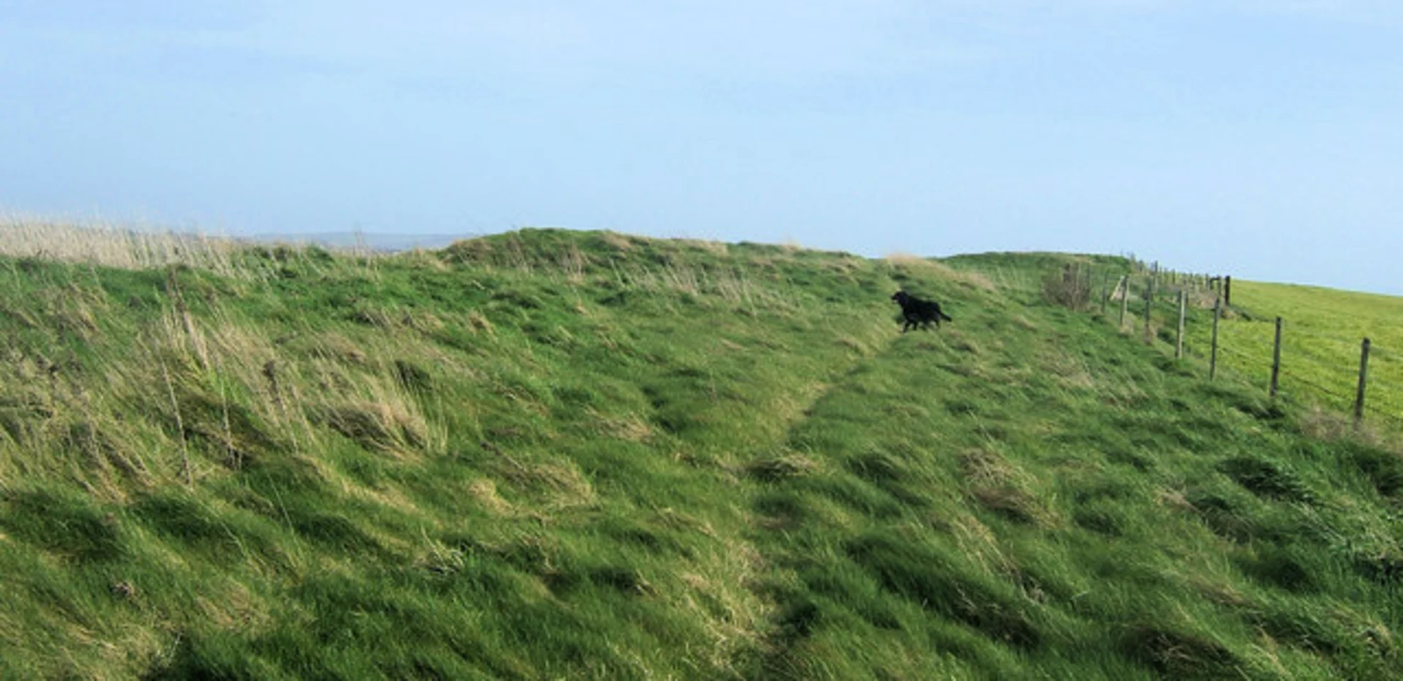 An image depicting the trail Ouse Valley in Newhaven and its surrounding area.