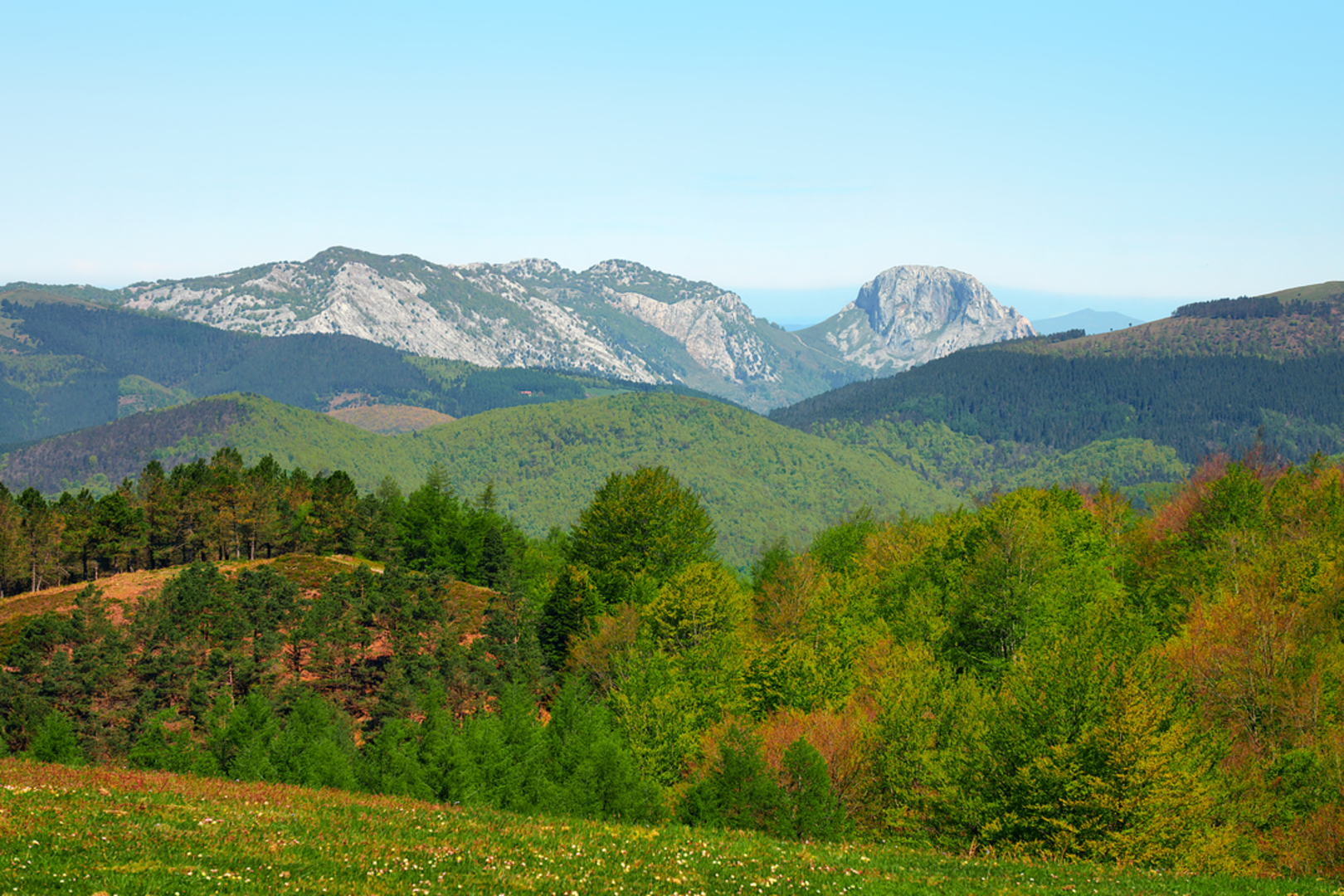 An image depicting the trail The Path of the Charcoal Burners PR-BI 82 and its surrounding area.