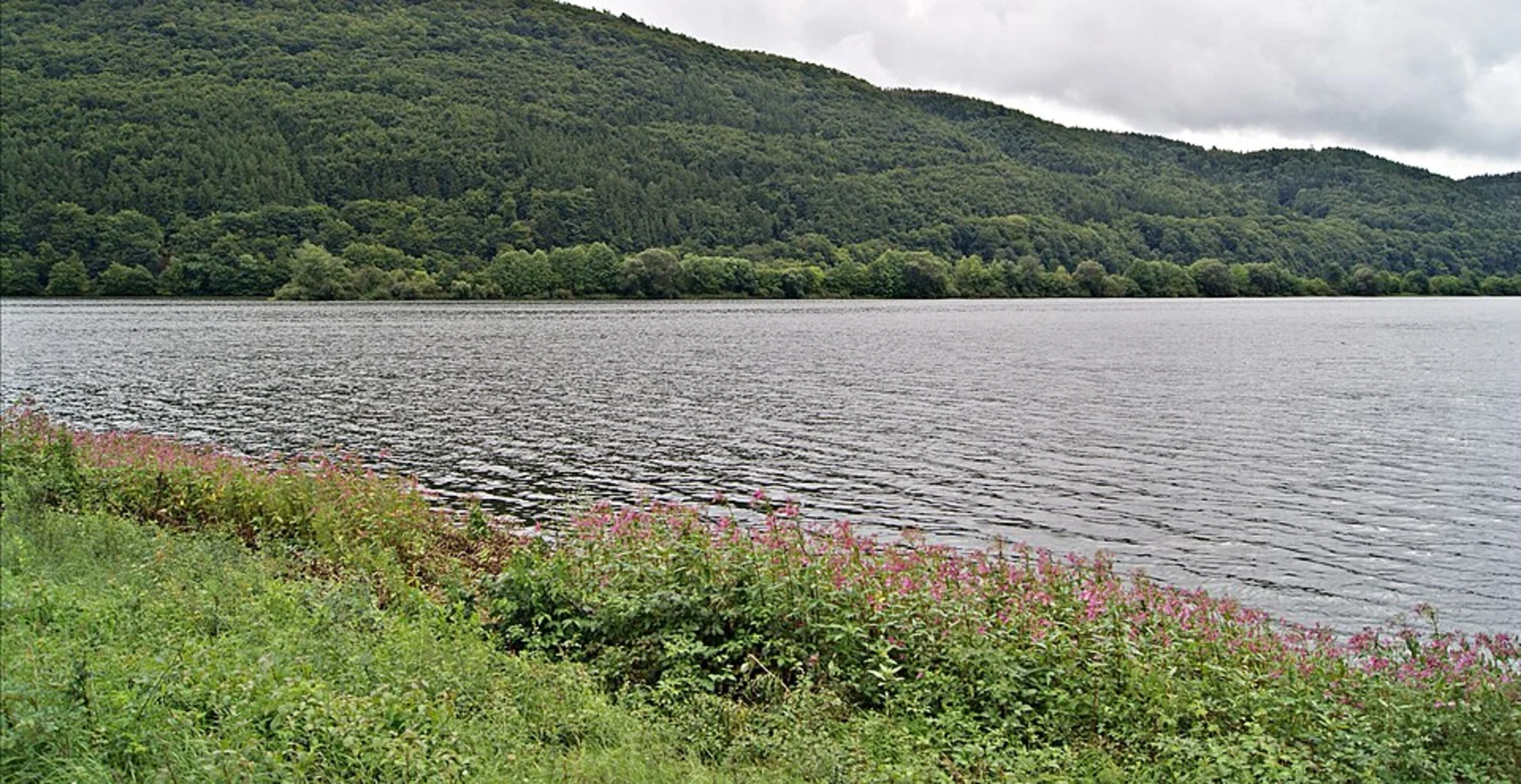 An image depicting the trail Kellerwaldsteig and its surrounding area.