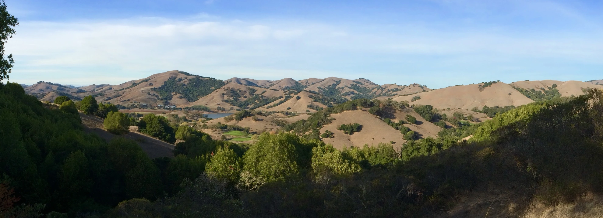 An image depicting the trail Stafford Lake North Shore Walk and its surrounding area.