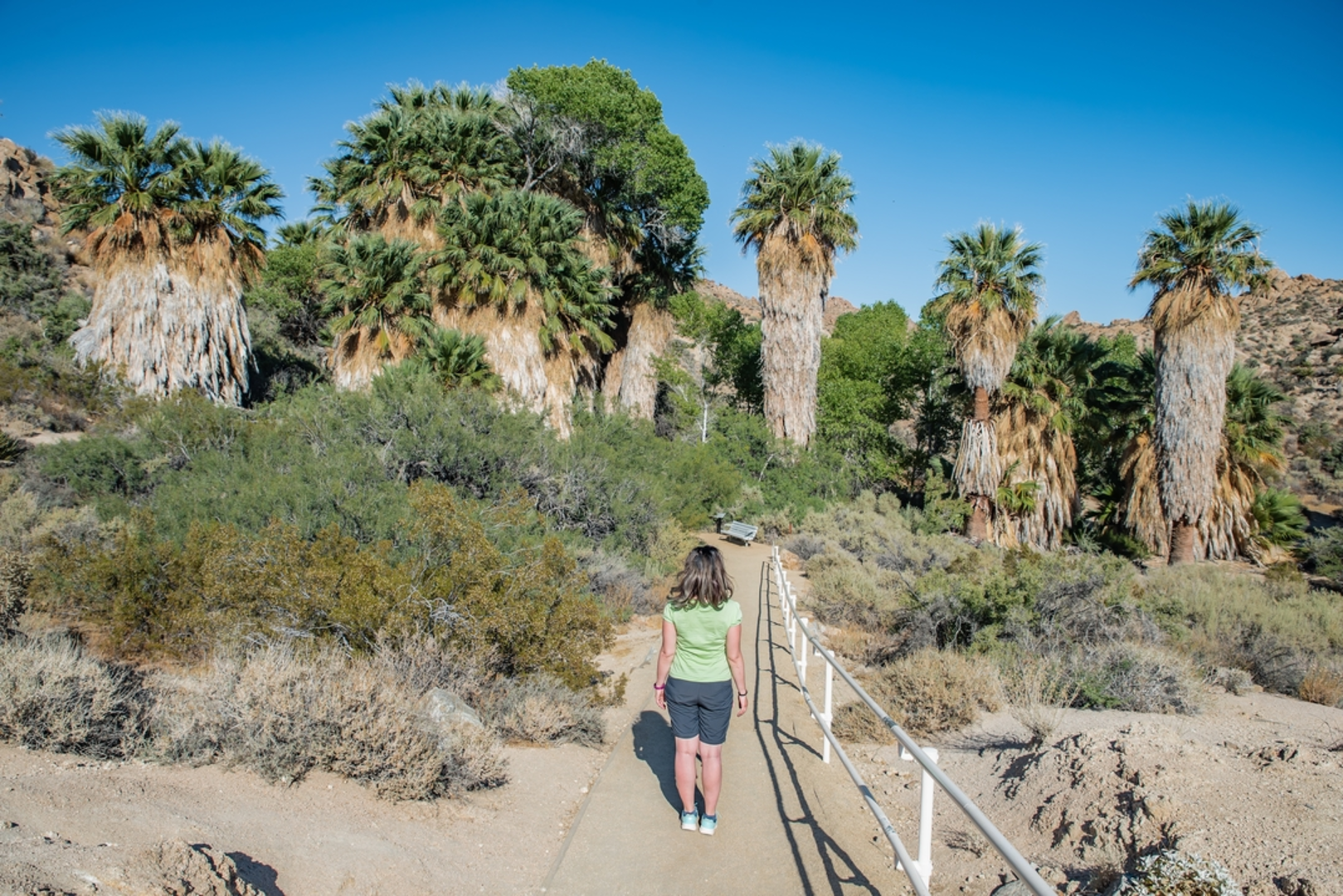 An image depicting the trail Pinkham Canyon Road Trail and its surrounding area.