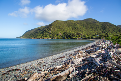 Kapiti Marine Reserve North Track