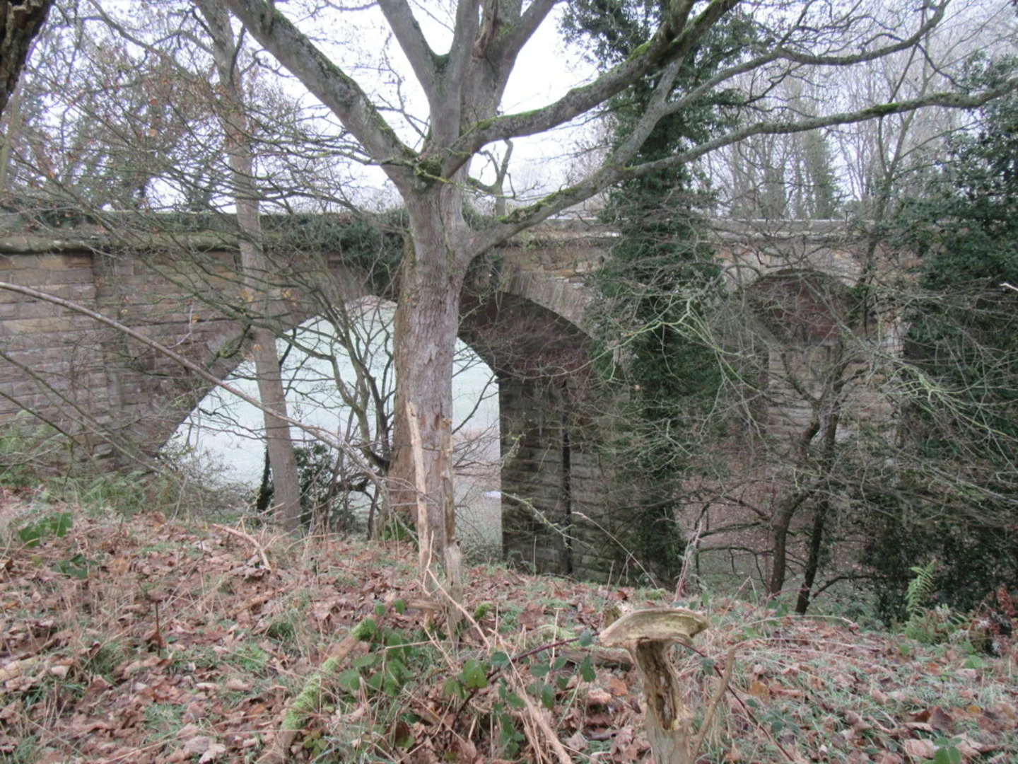 An image depicting the trail Kirkbymoorside to Helmsley Walk and its surrounding area.