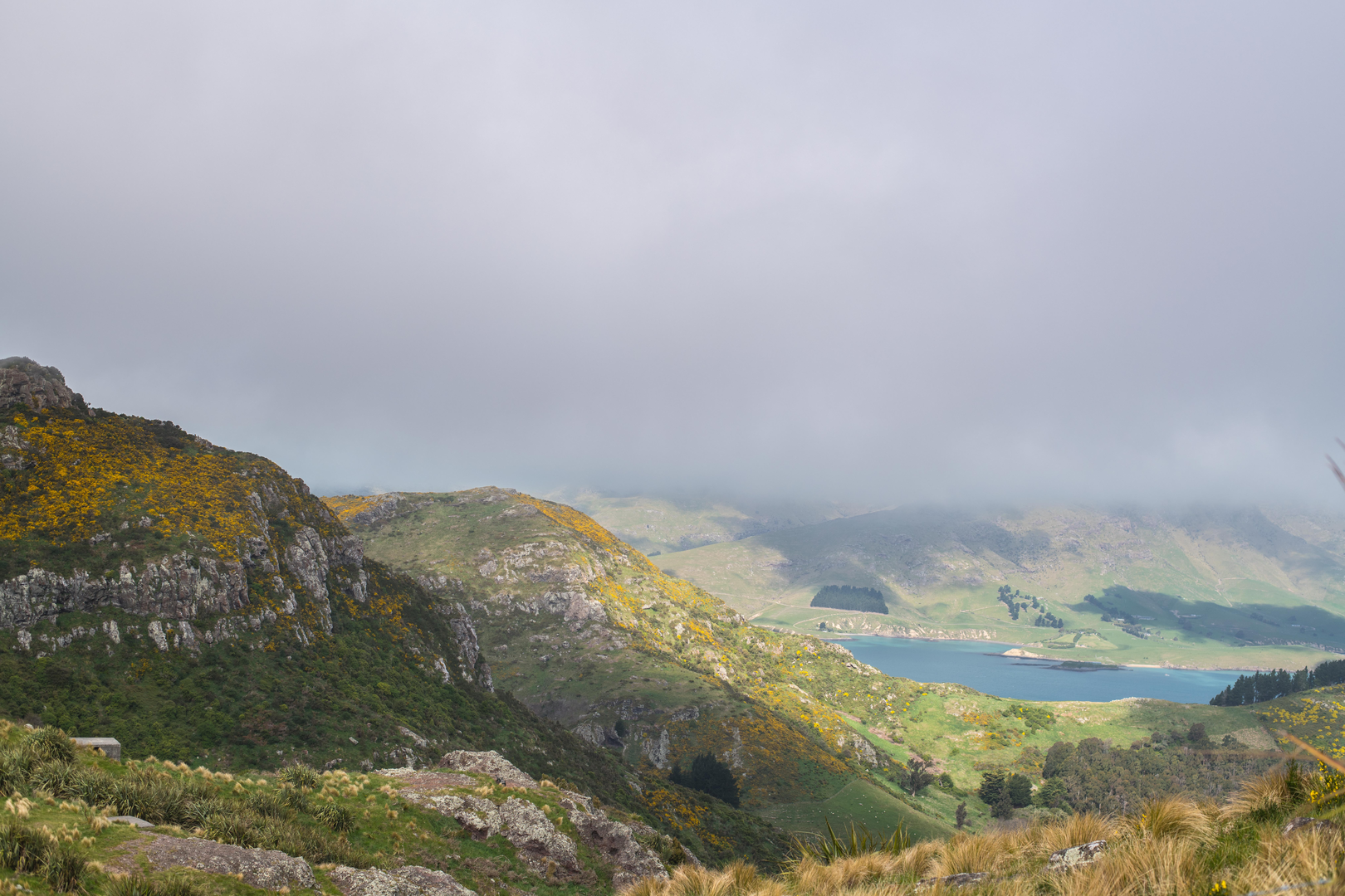 An image depicting the trail Mount Pleasant from Evans Pass and its surrounding area.