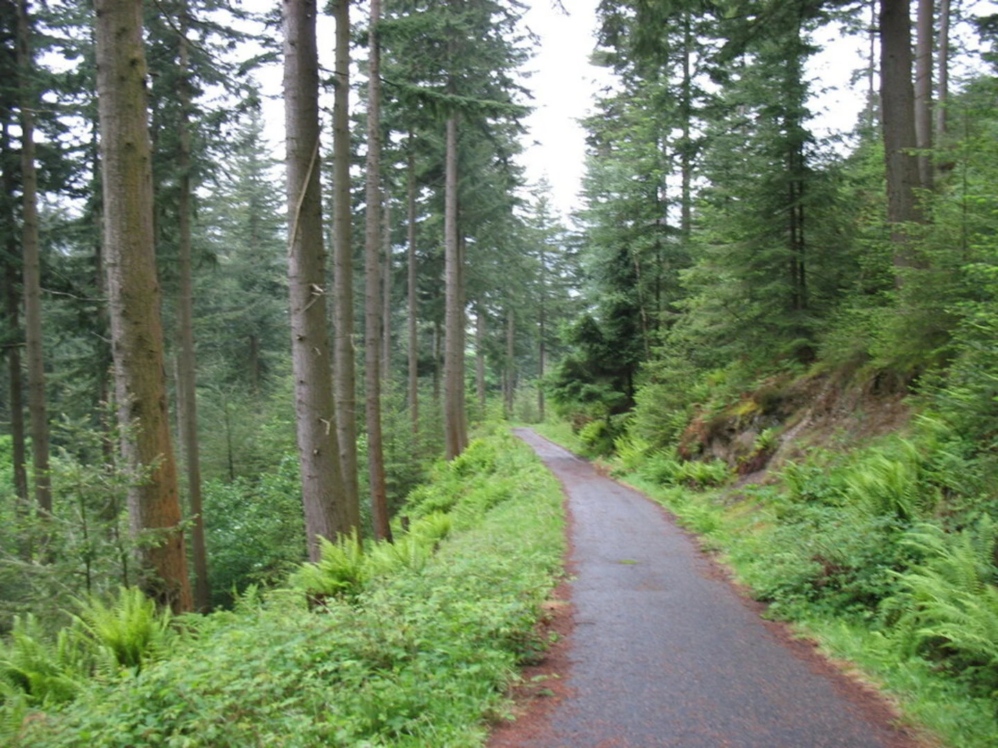 An image depicting the trail Long Side and its surrounding area.