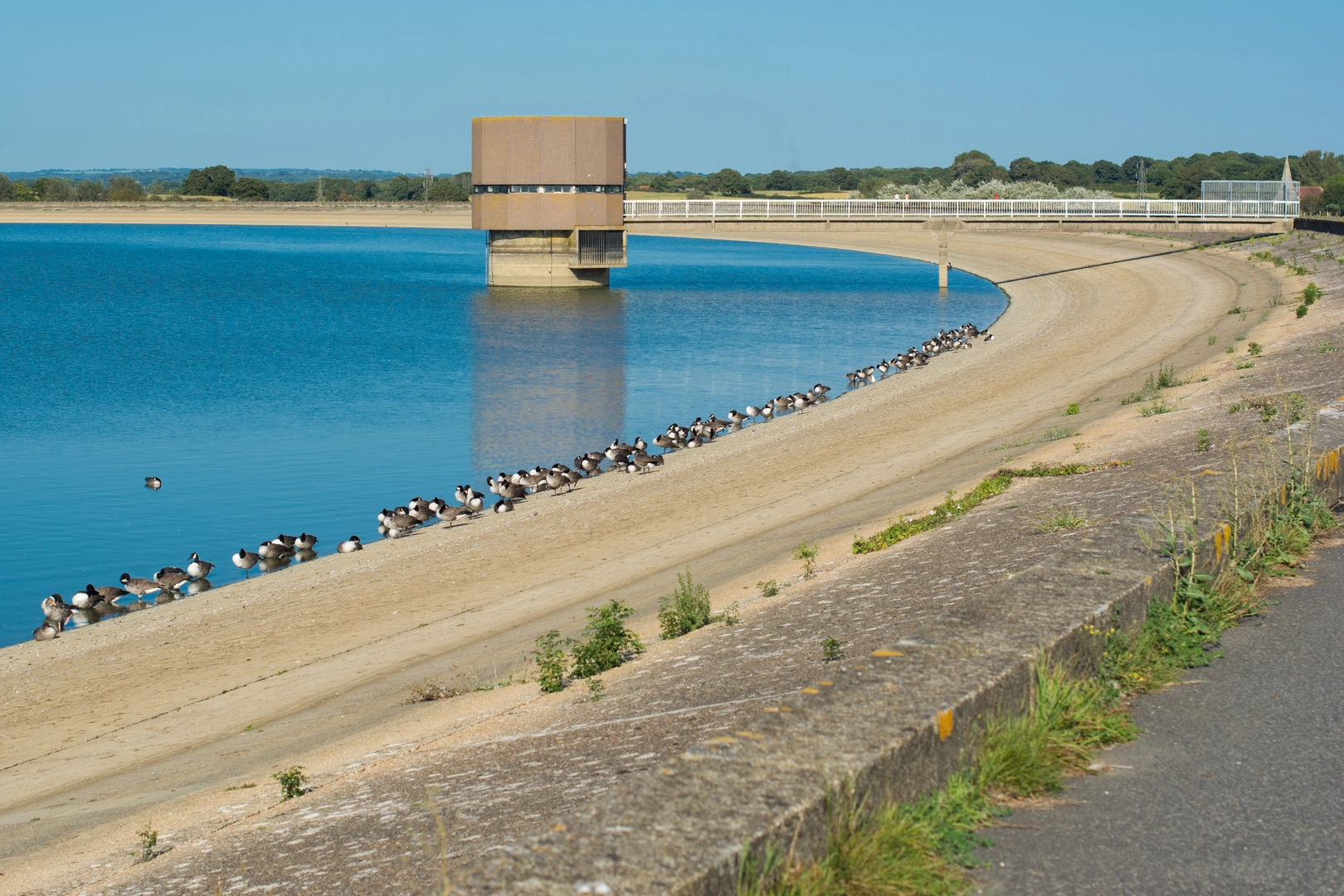 An image depicting the trail Balcombe and Ardingly Reservoir and its surrounding area.