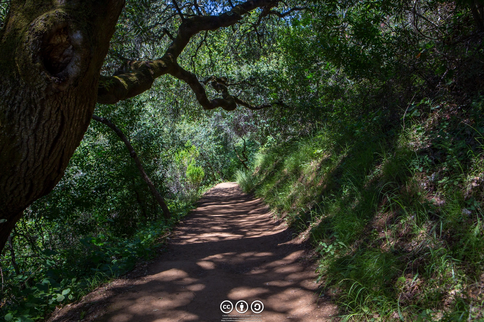 An image depicting the trail Black Mountain via Stephen E Abbors Trail and Chamise Loop Trail and its surrounding area.
