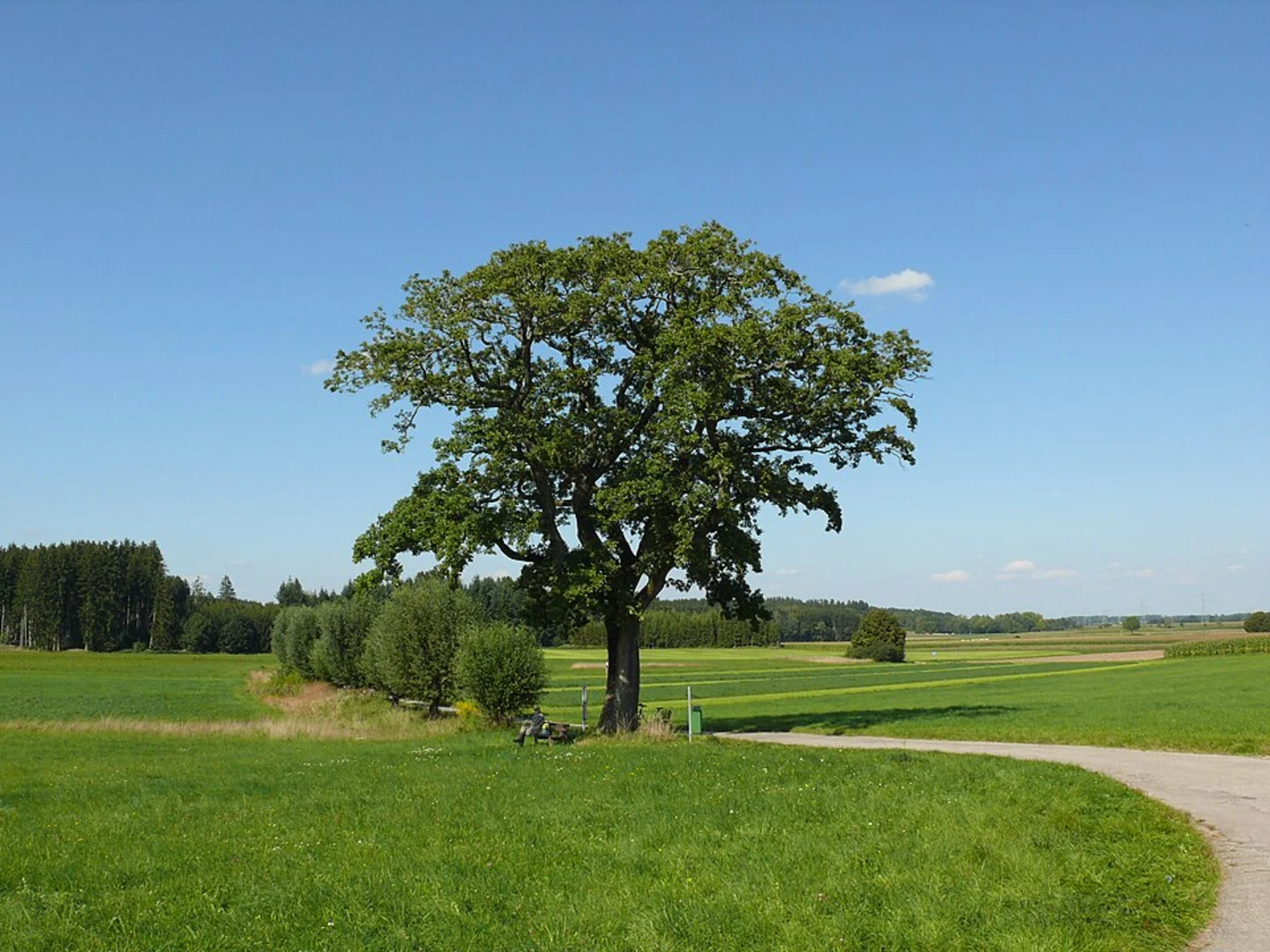 An image depicting the trail Kreuzbach via Nahehoehenweg and its surrounding area.