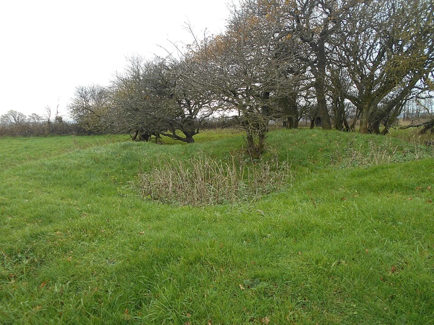 An image depicting the trail Rackham Hill Loop and Wepham Down Loop and its surrounding area.