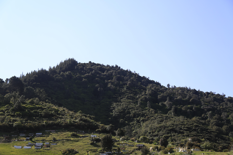 Tuhua - Mayor Island Crater Loop Track