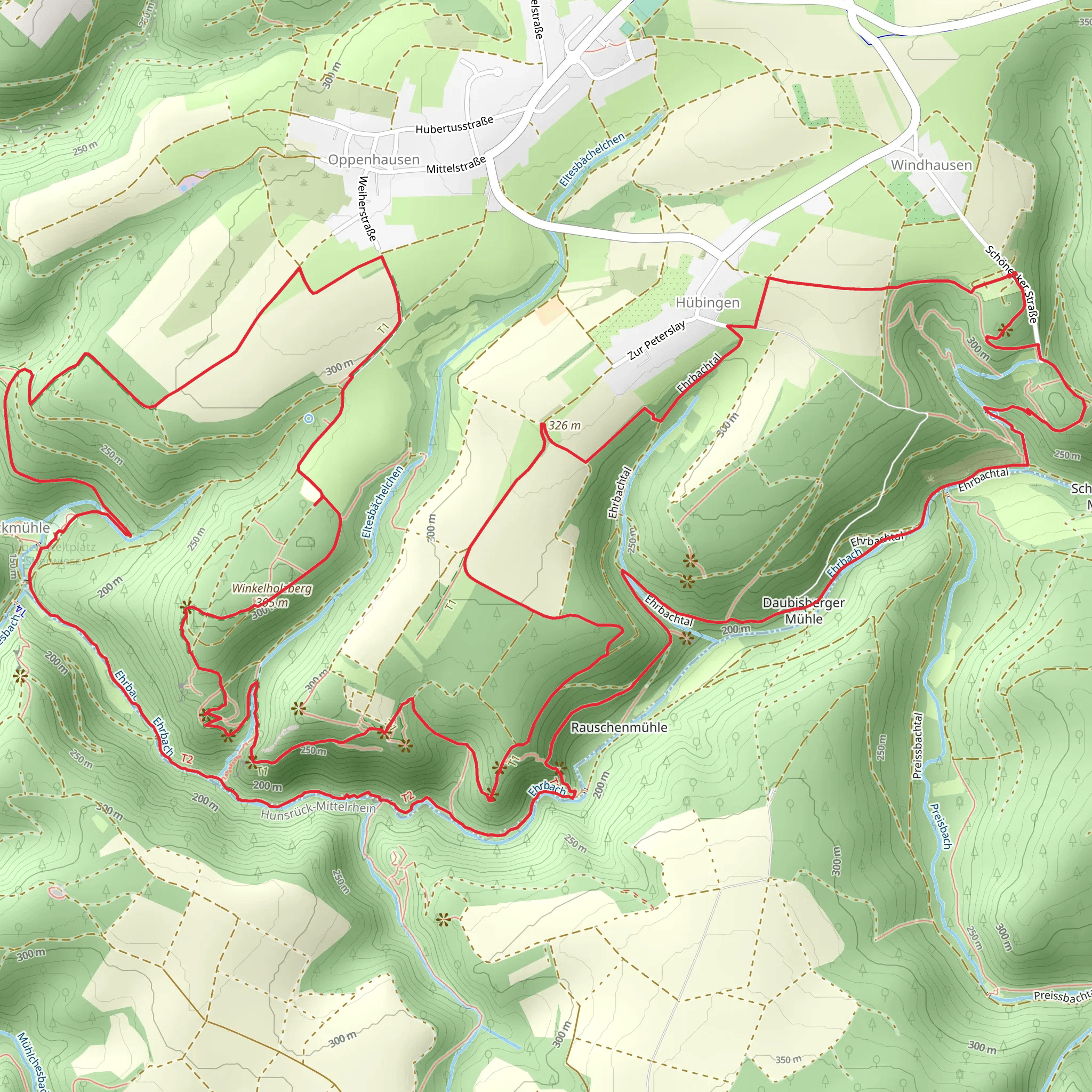 Winkelholzberg and Schoneckschleife Loop mobile static map