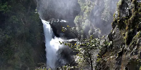 An image depicting the trail Hollyford Track - Hidden Falls Track and its surrounding area.