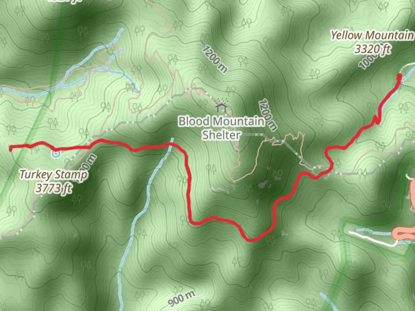 An image depicting the trail Woods Hole Shelter and Byron Herbert Reece and its surrounding area.
