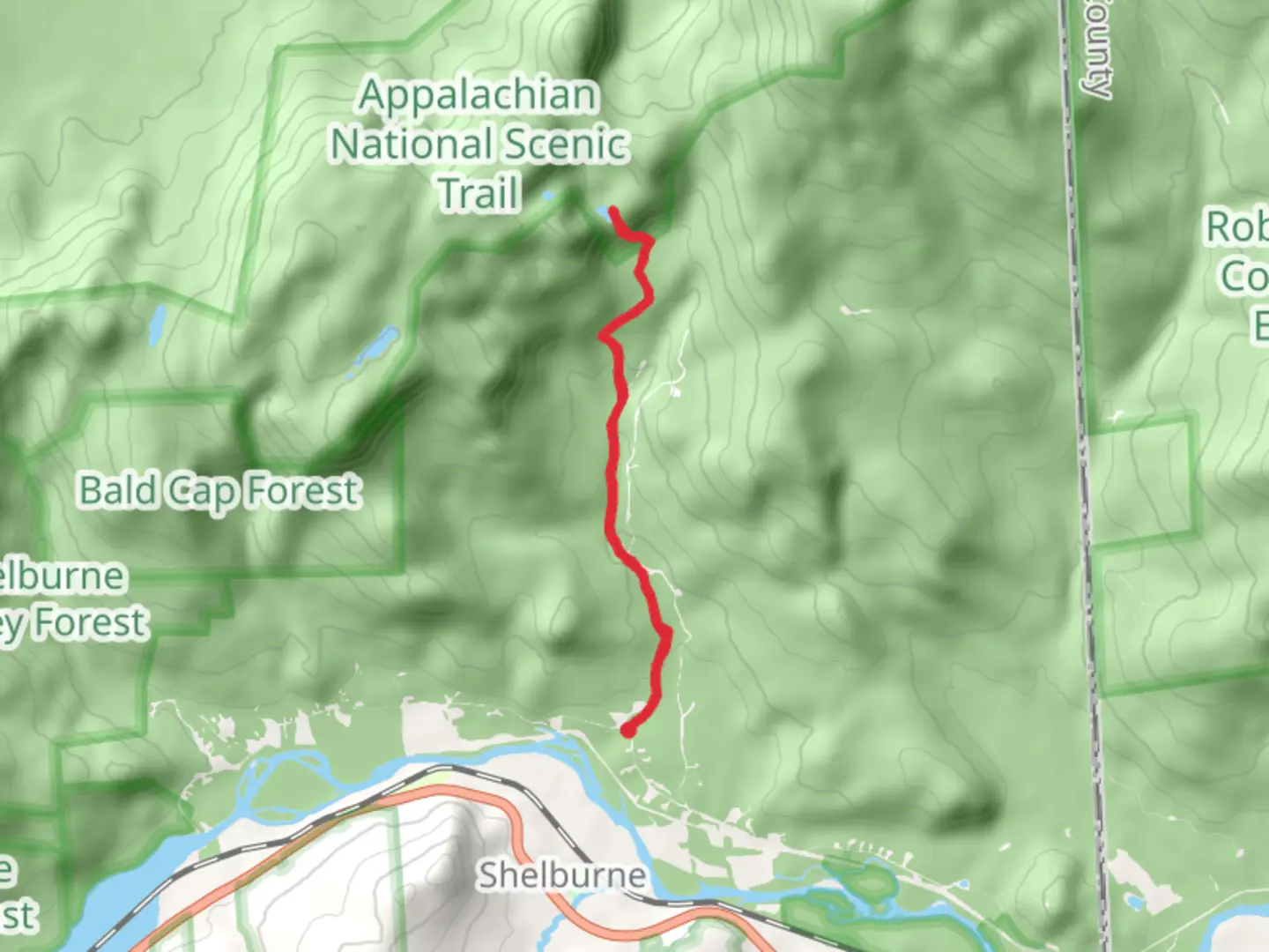 An image depicting the trail Austin Brook Trail and its surrounding area.