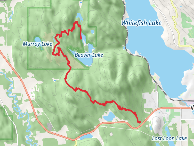 Little Beaver Lake and Rainbow Lake via Whitefish Trail