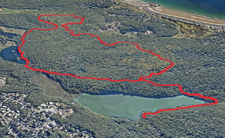 Cape Pond and High Rock Loop Trail