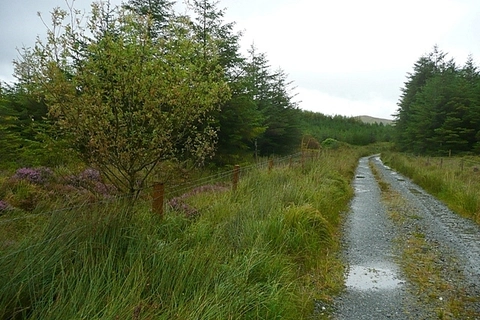 An image depicting the trail An Bhinn Bhán and its surrounding area.