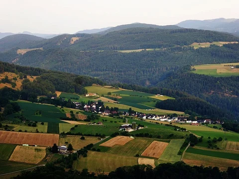 An image depicting the trail ViaSurprise and its surrounding area.