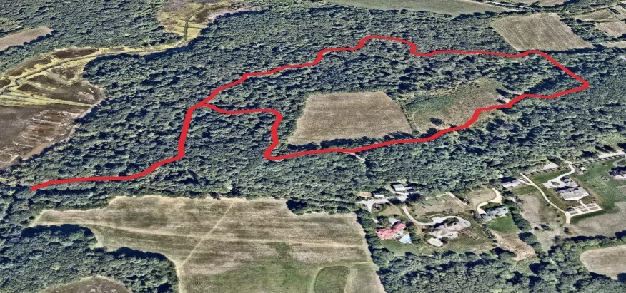 Evergreen Plantation - Old Town Hill Loop