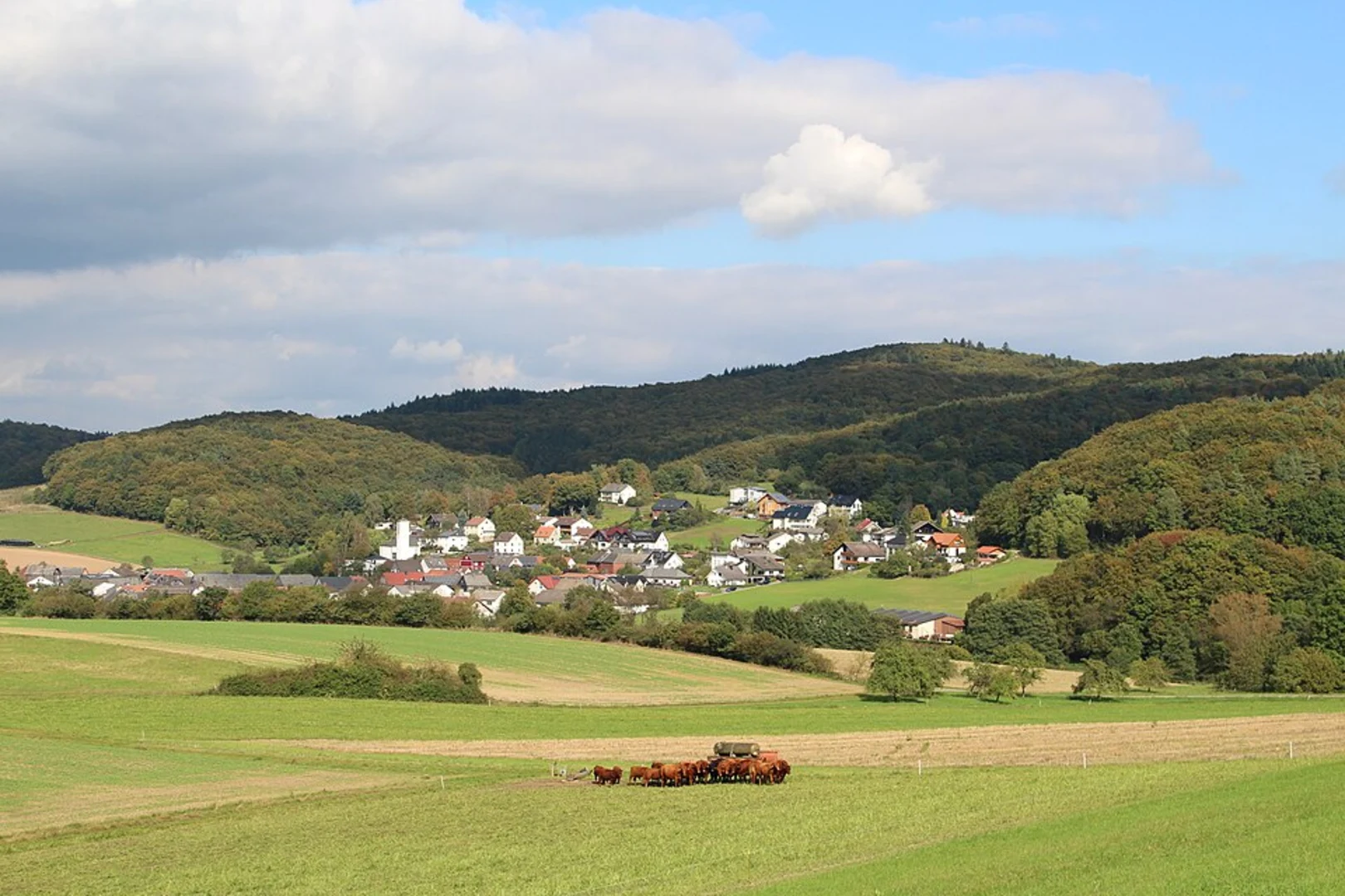 An image depicting the trail Kirchlotheim to Asel Bucht Walk via River Eder and its surrounding area.