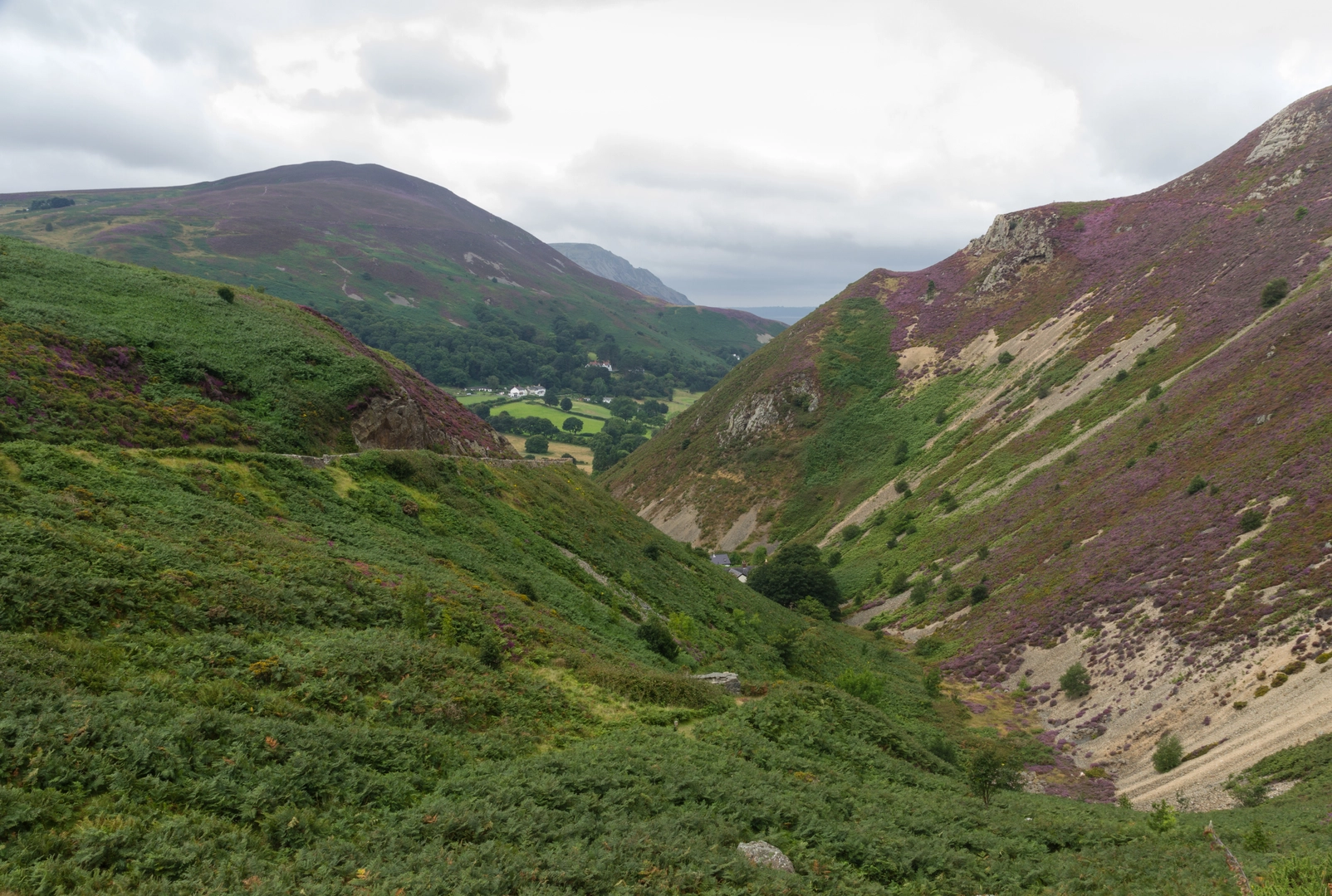 An image depicting the trail Foel Lus and Jubilee Path from Sychnant Pass and its surrounding area.