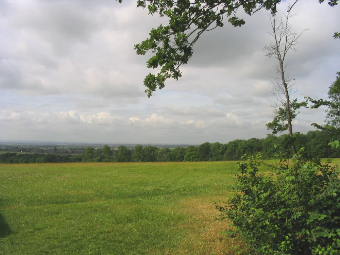 An image depicting the trail Thorndon Hall Loop and its surrounding area.