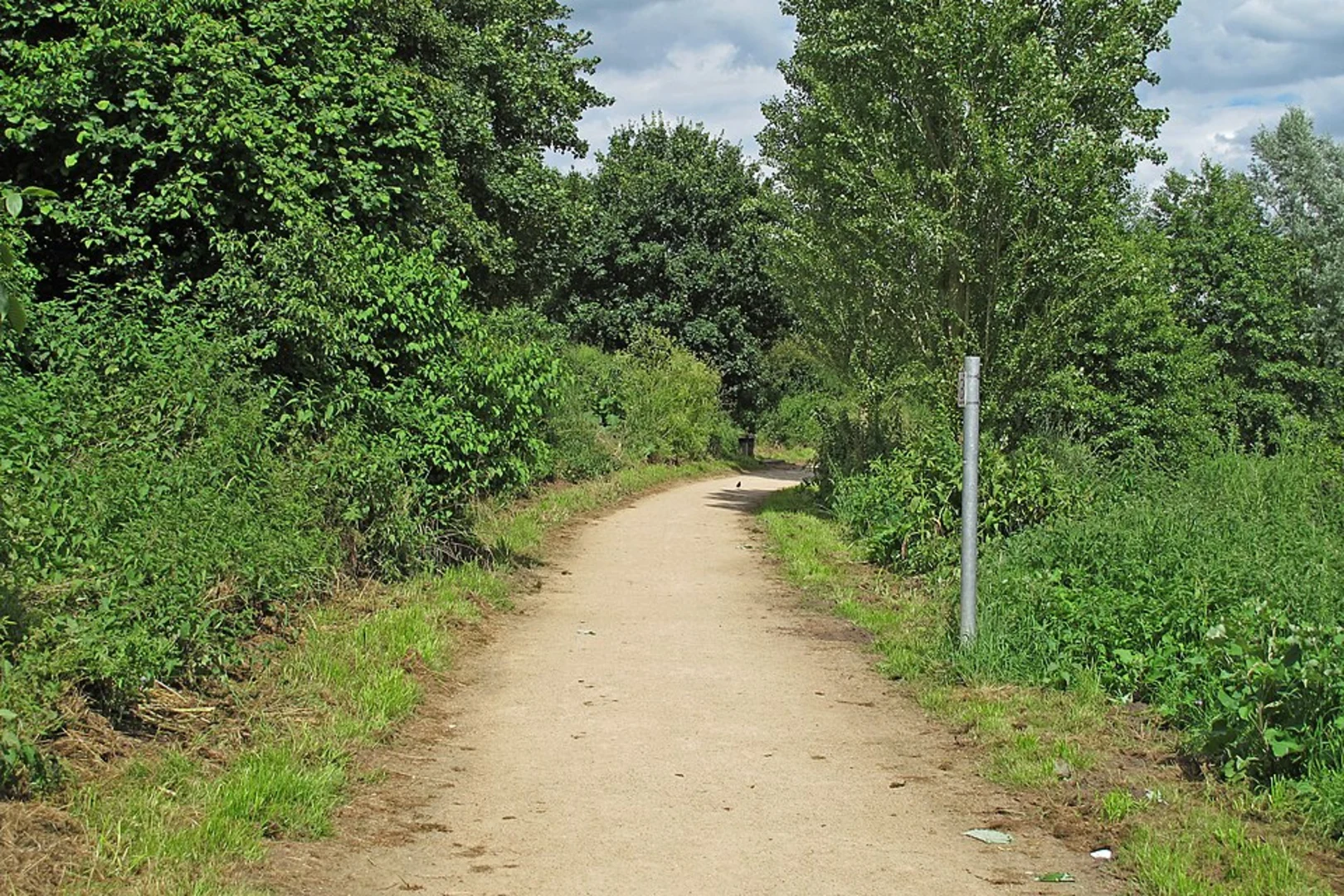 An image depicting the trail Halstead Walk and its surrounding area.