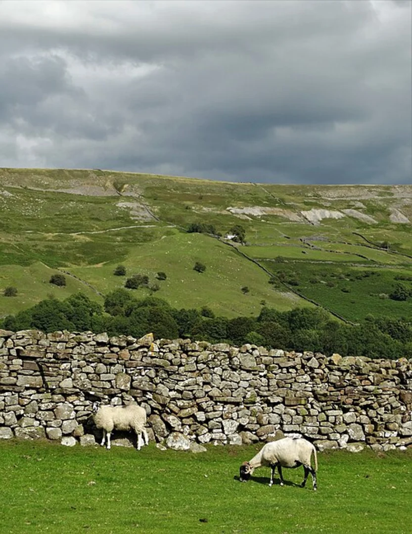 An image depicting the trail Jenny Hill and Castle House Loop and its surrounding area.
