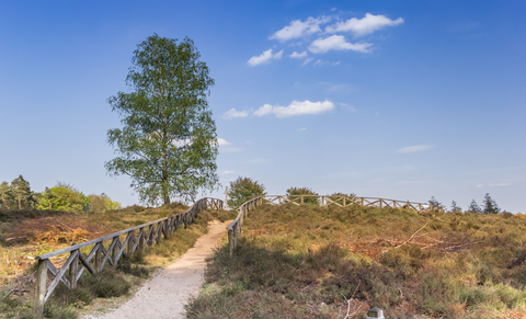 De Lemelerberg and Lemele via Bergweg