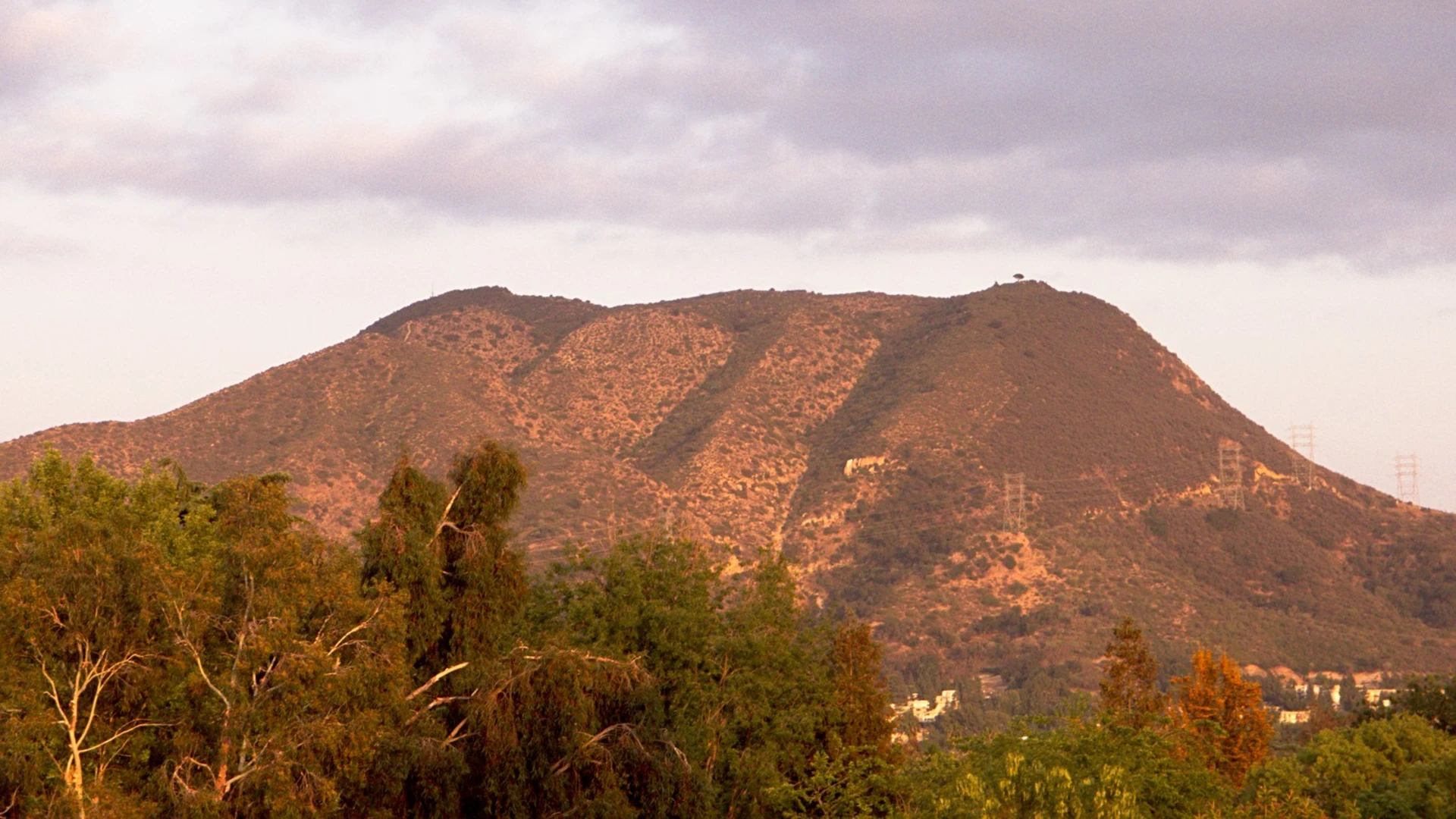 An image depicting the trail Burbank Peak and Cahuenga Peak and its surrounding area.