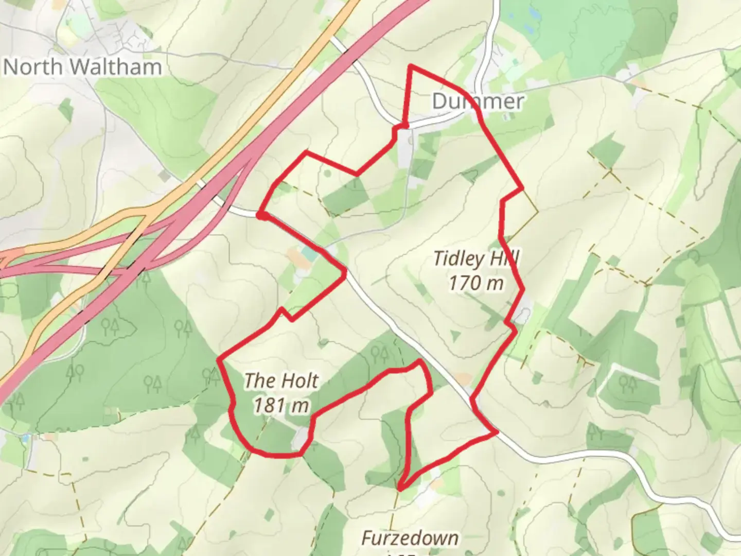 An image depicting the trail Walker's Copse and Popham Down Copse Loop and its surrounding area.