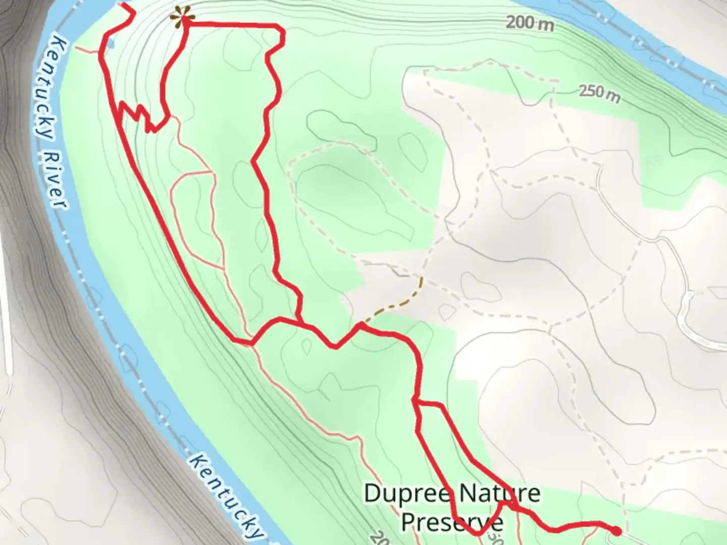 An image depicting the trail Dupree Nature Preserve, Main and Overlook Loop Trail and its surrounding area.