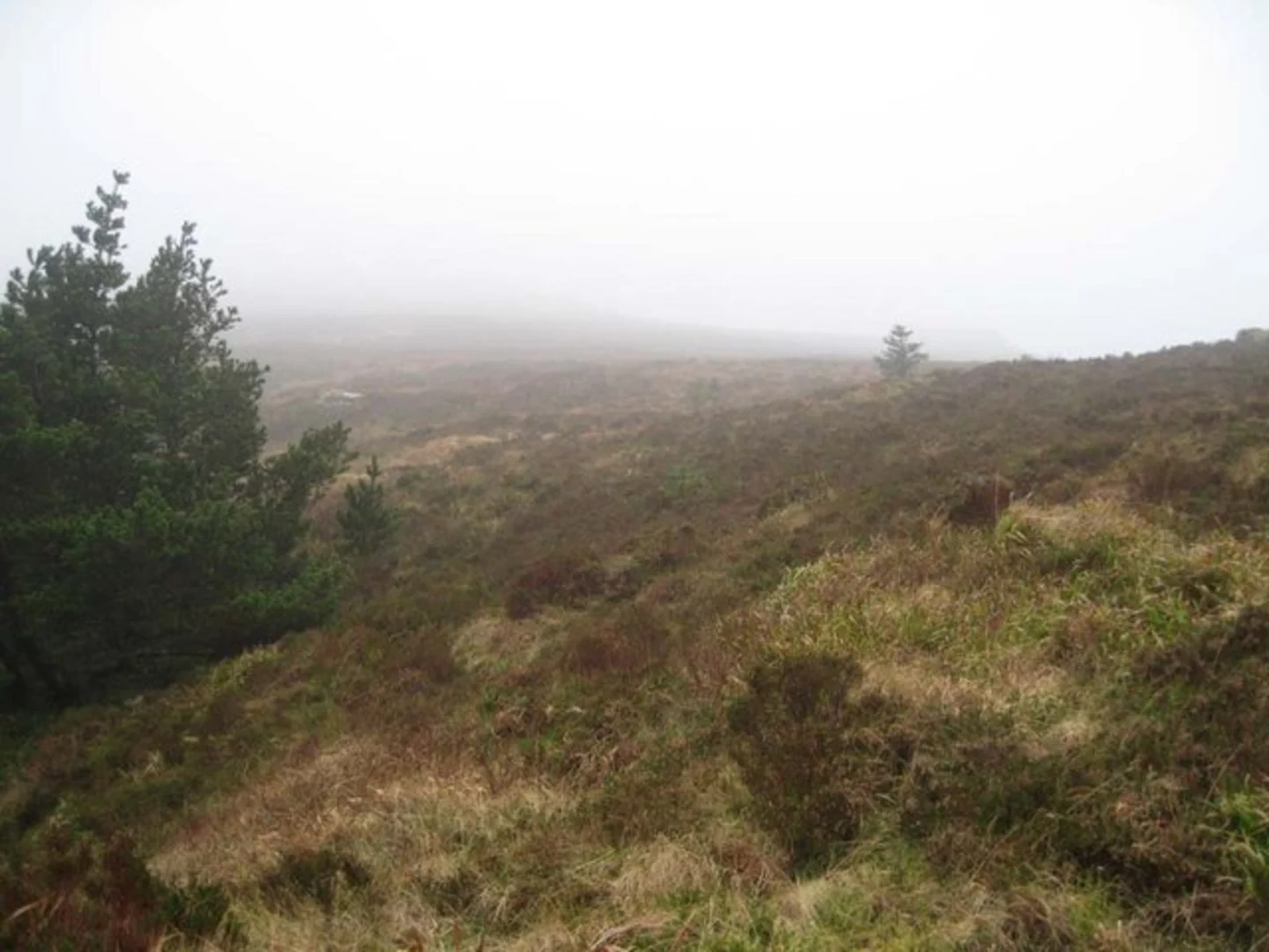 An image depicting the trail Blackrock Loop and its surrounding area.