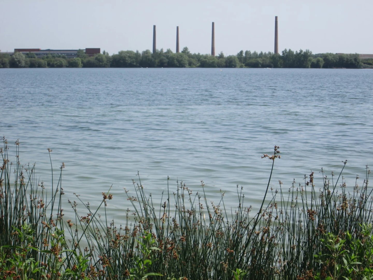 An image depicting the trail Stewartby Lake Country Park Loop and its surrounding area.