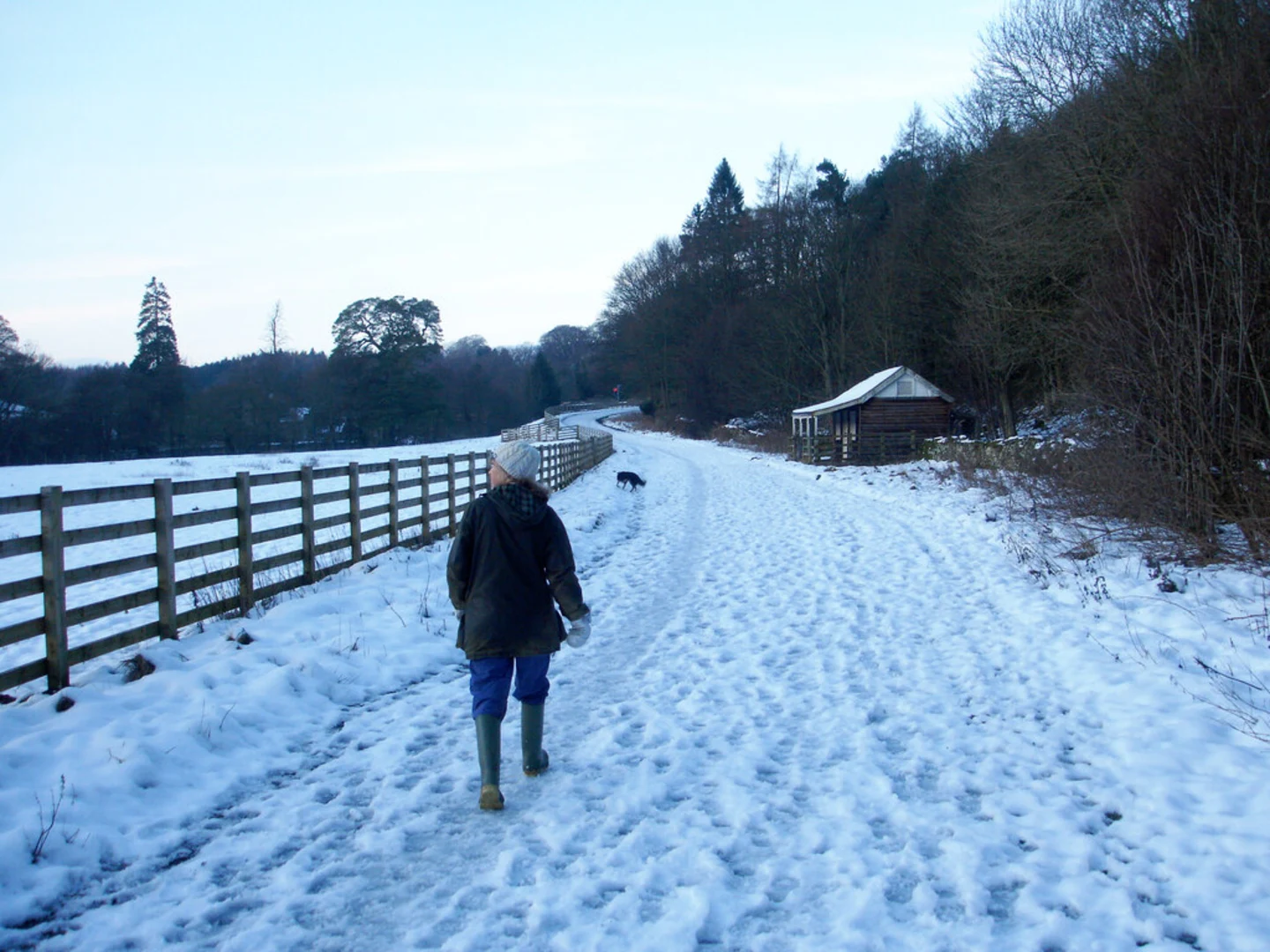 An image depicting the trail River Tees and Romaldkirk Loop and its surrounding area.