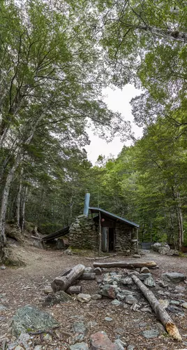 Mt Crichton Loop Track