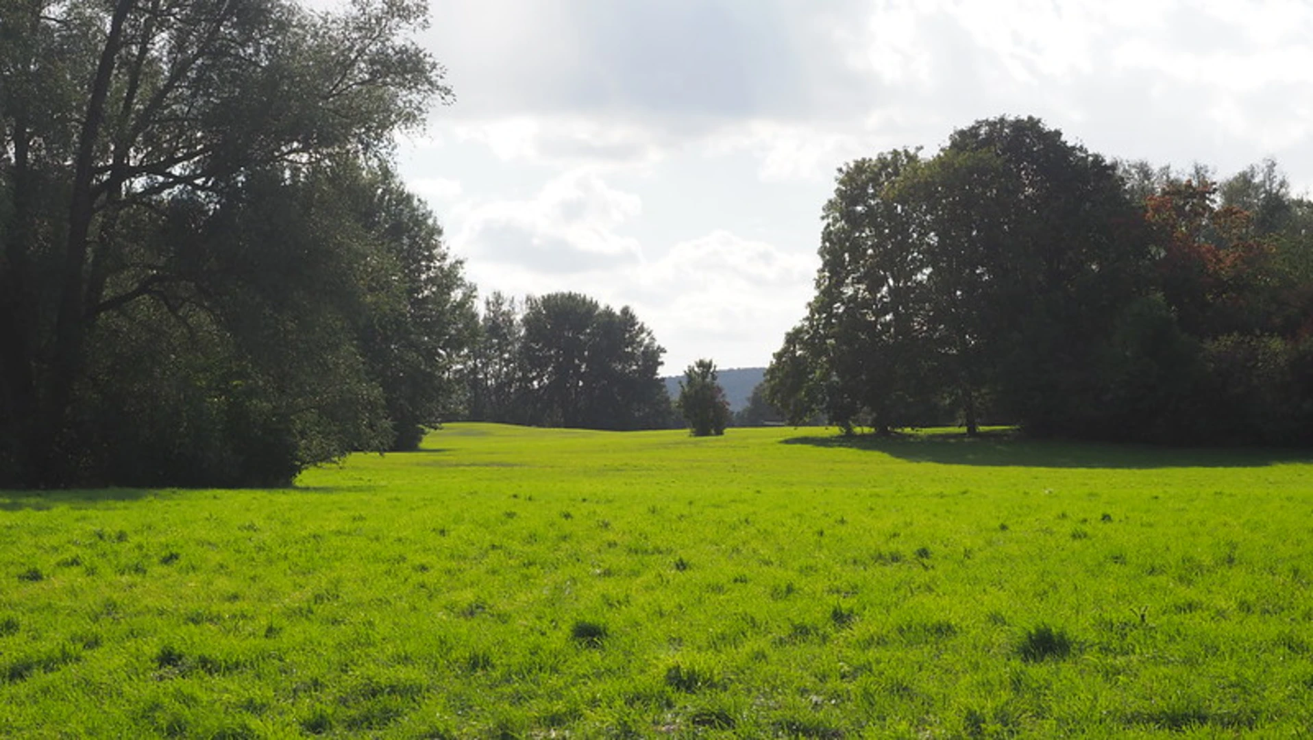 An image depicting the trail Salzgitter-See via Karl-Nestvogel-Weg and its surrounding area.