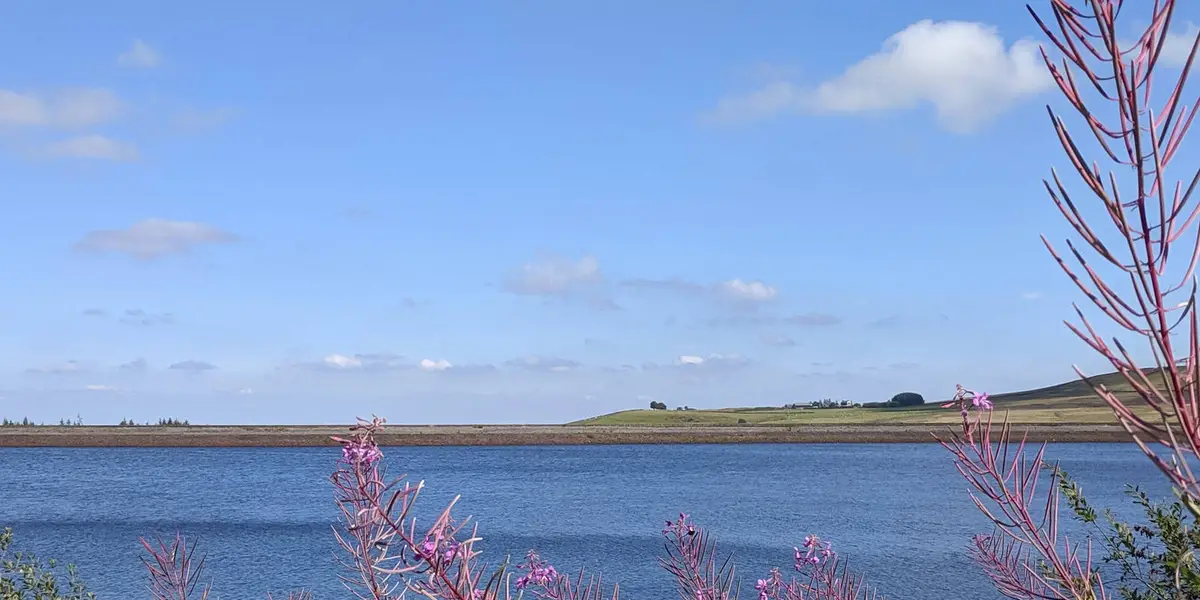 Rivelin Valley Nature Reserves and Heritage