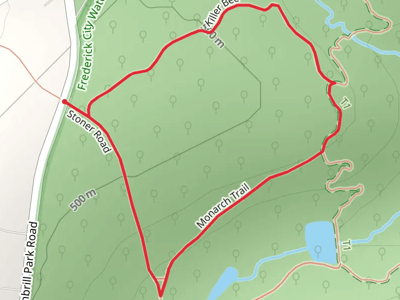 Killer Bee and Stoner Road Loop