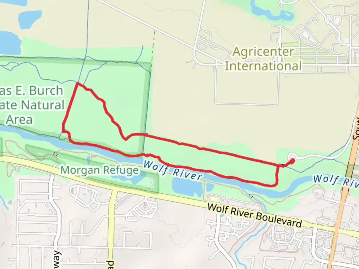 An image depicting the trail Wolf River Yellow and Blue Loop Trail and its surrounding area.