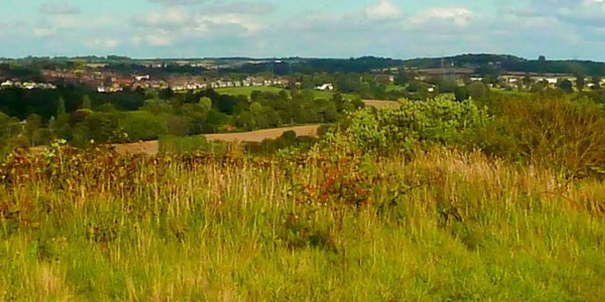 An image depicting the trail Rothwell Country Park Sculpture Trail and its surrounding area.