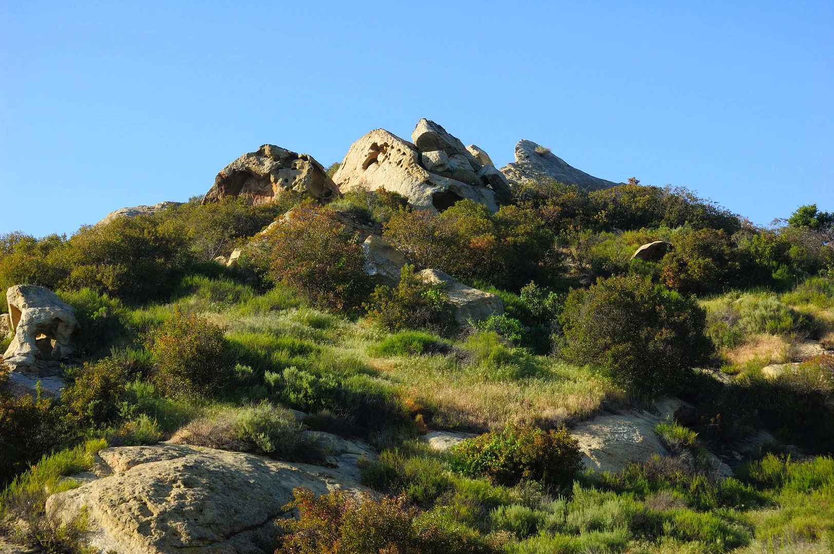 An image depicting the trail Big Bend - Laguna Ridge Loop Trail and its surrounding area.