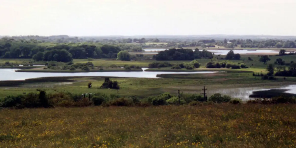 Ballykeeran Forest Trail