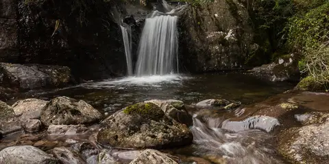 An image depicting the trail Cumminadiller Lake Loop and its surrounding area.