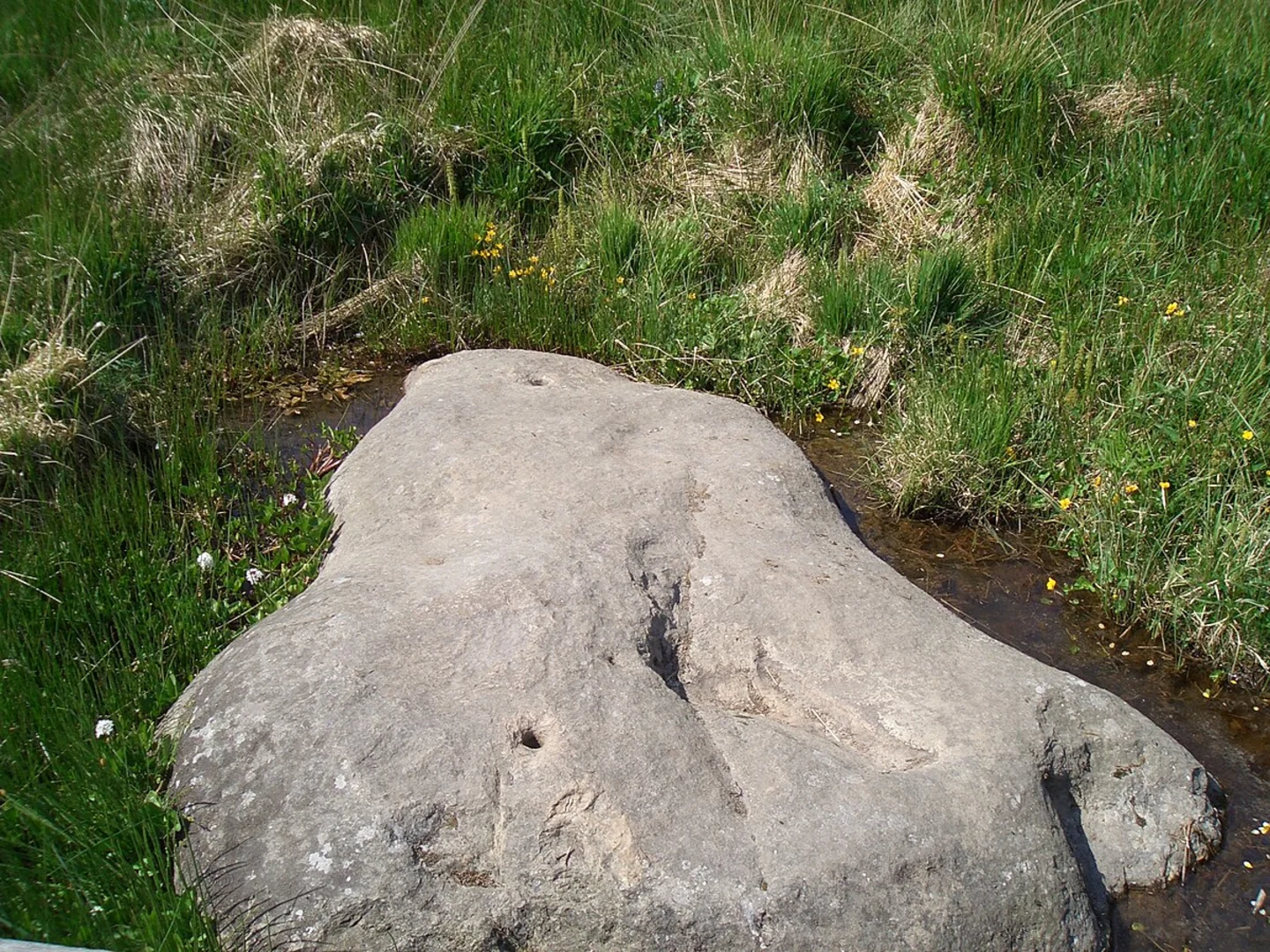 An image depicting the trail Brandplattenweg, Jagdhaus Fußweg and Oberer Darmuthweg Loop and its surrounding area.