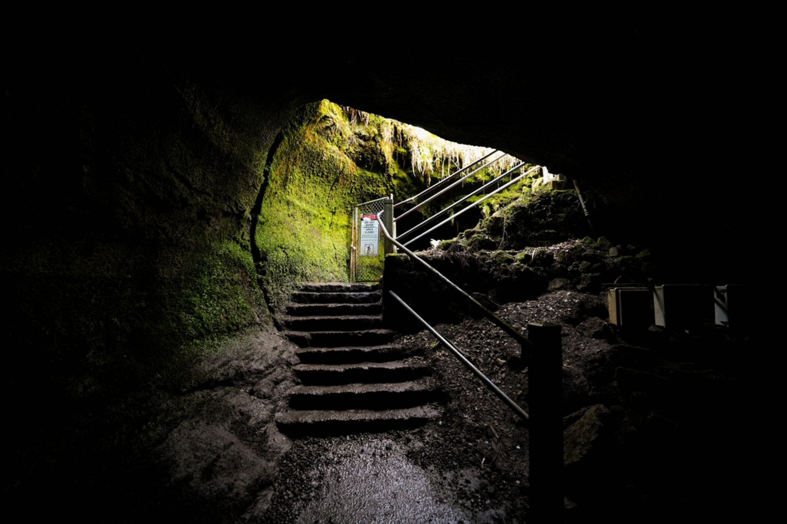An image depicting the trail Thurston Lava Tube Loop -Nāhuku and its surrounding area.