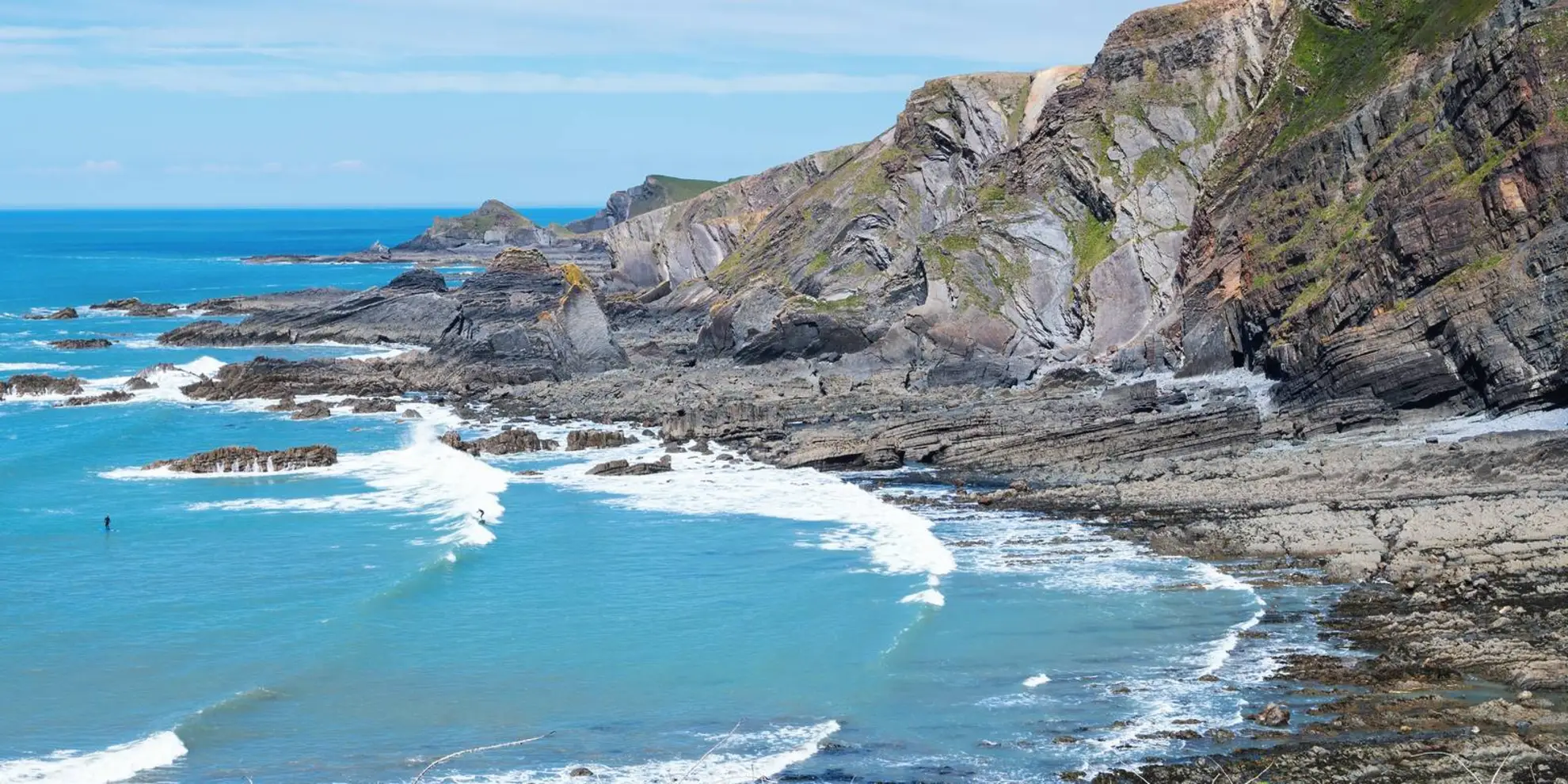 An image depicting the trail Beckland Woods Bluebell Walk and its surrounding area.