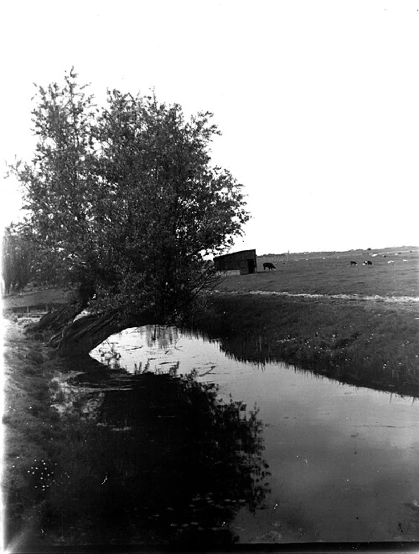 An image depicting the trail Ruigekade, Boerenlandpad - Achthoven and Jaagpad Loop and its surrounding area.